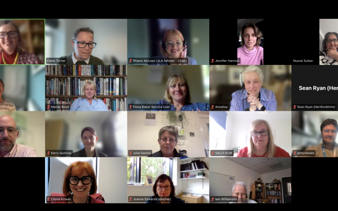 Screenshot of JLA steering group Zoom photo